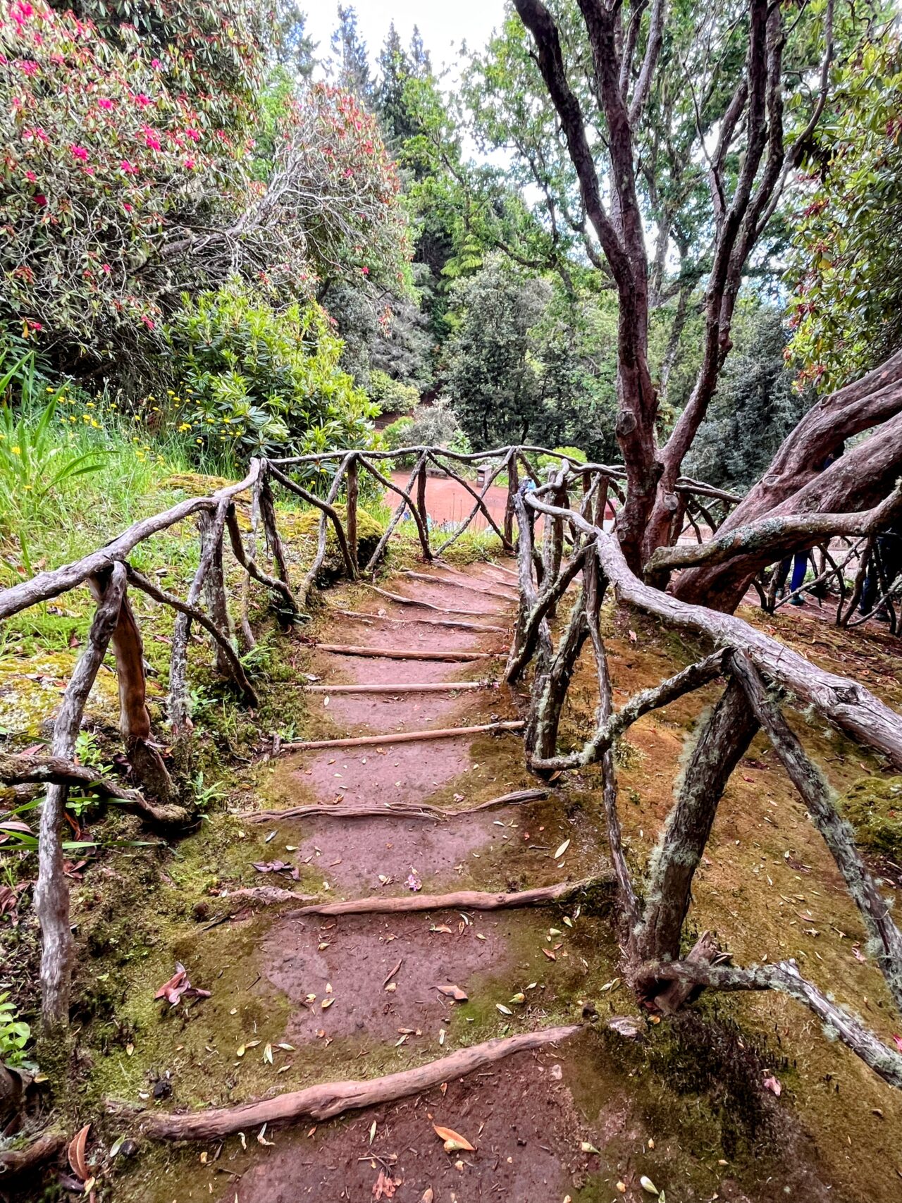 Wanderung_Levada_Caldeirao_Verde_