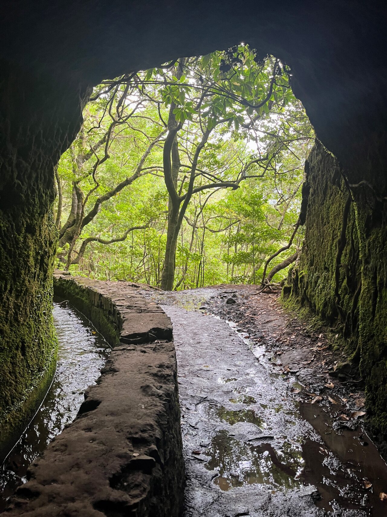 Wanderung_Levada_Caldeirao_Verde_