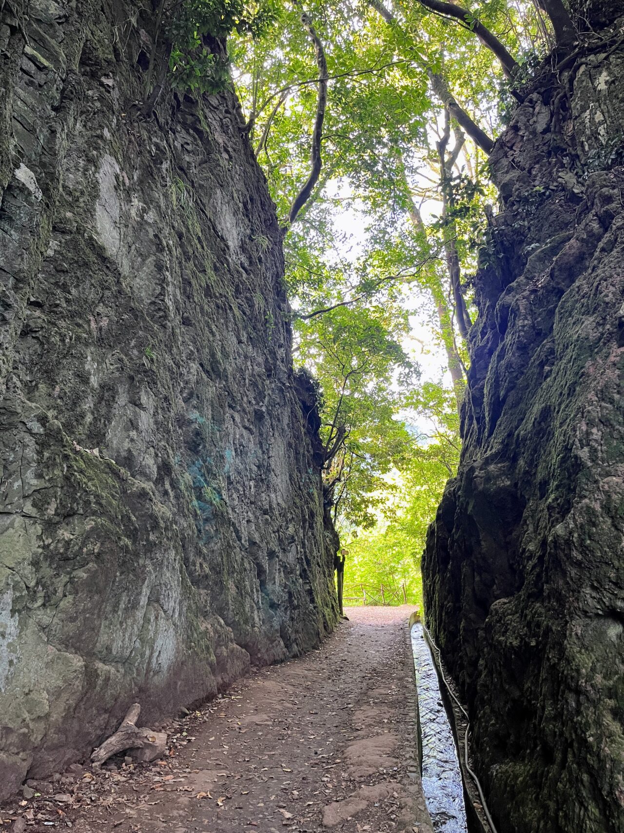 wanderung_balcoes_und_ribeiro_frio_