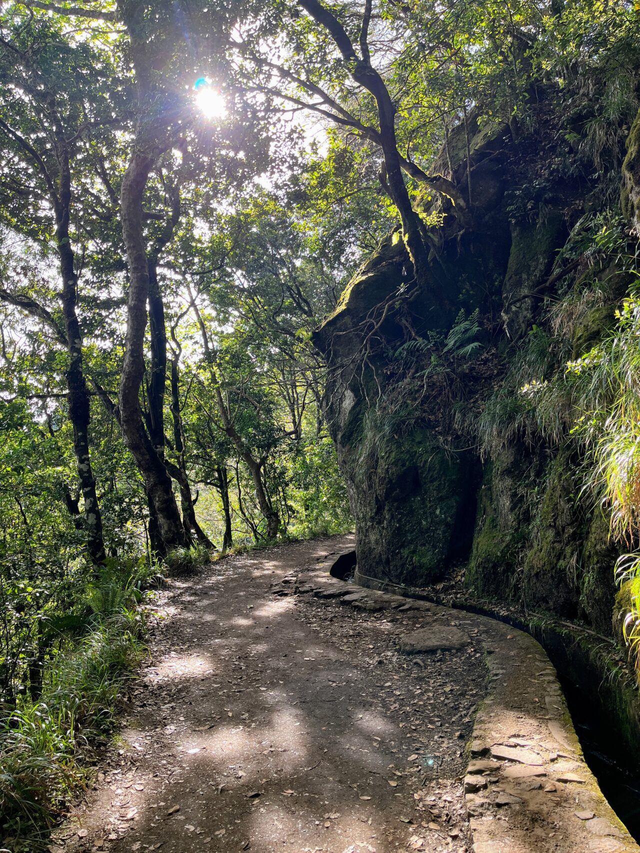 wanderung_balcoes_und_ribeiro_frio_