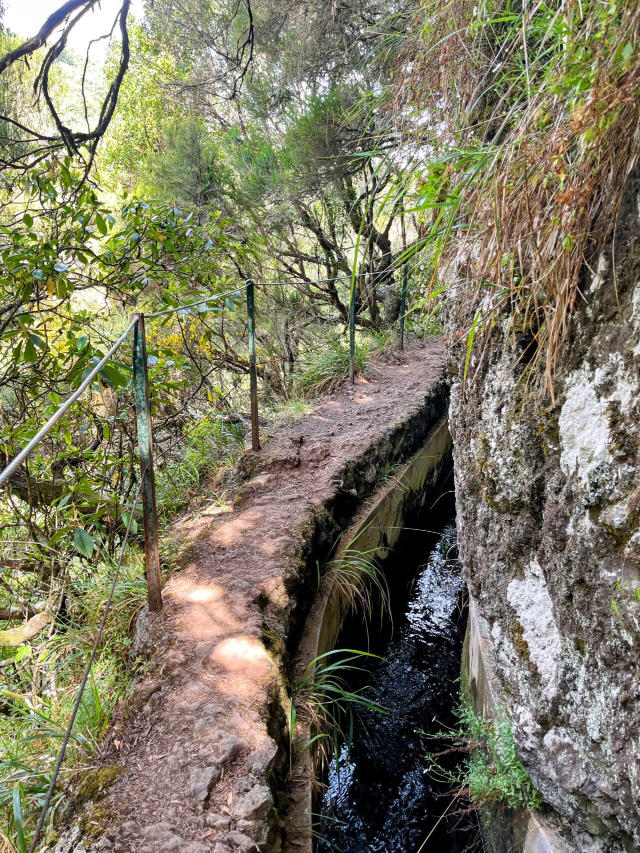 wanderung_balcoes_und_ribeiro_frio_