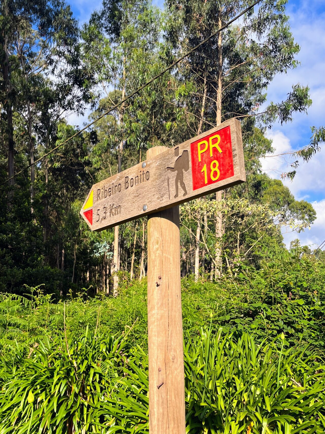 wanderung_levada_do_rei_