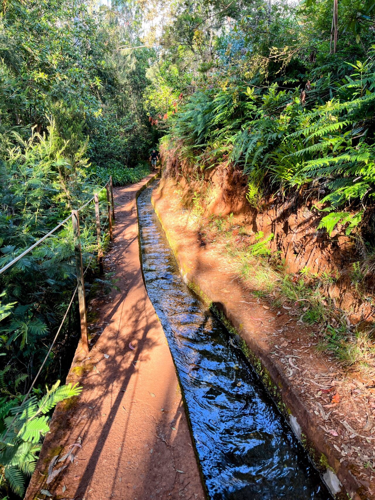 wanderung_levada_do_rei_