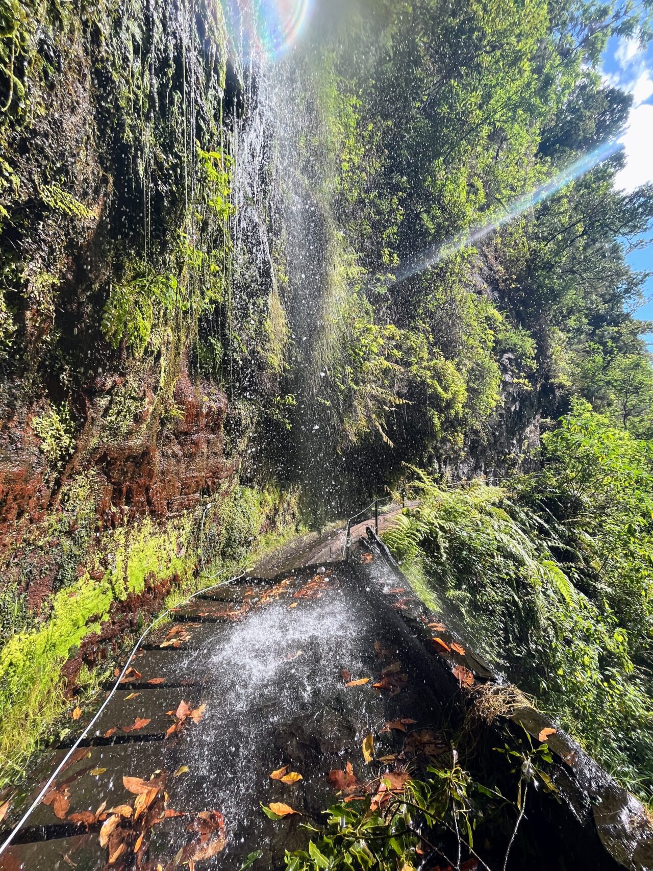 wanderung_levada_do_rei_