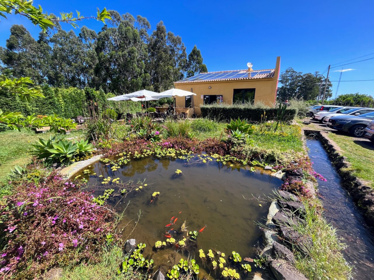 wanderung_levada_do_rei_