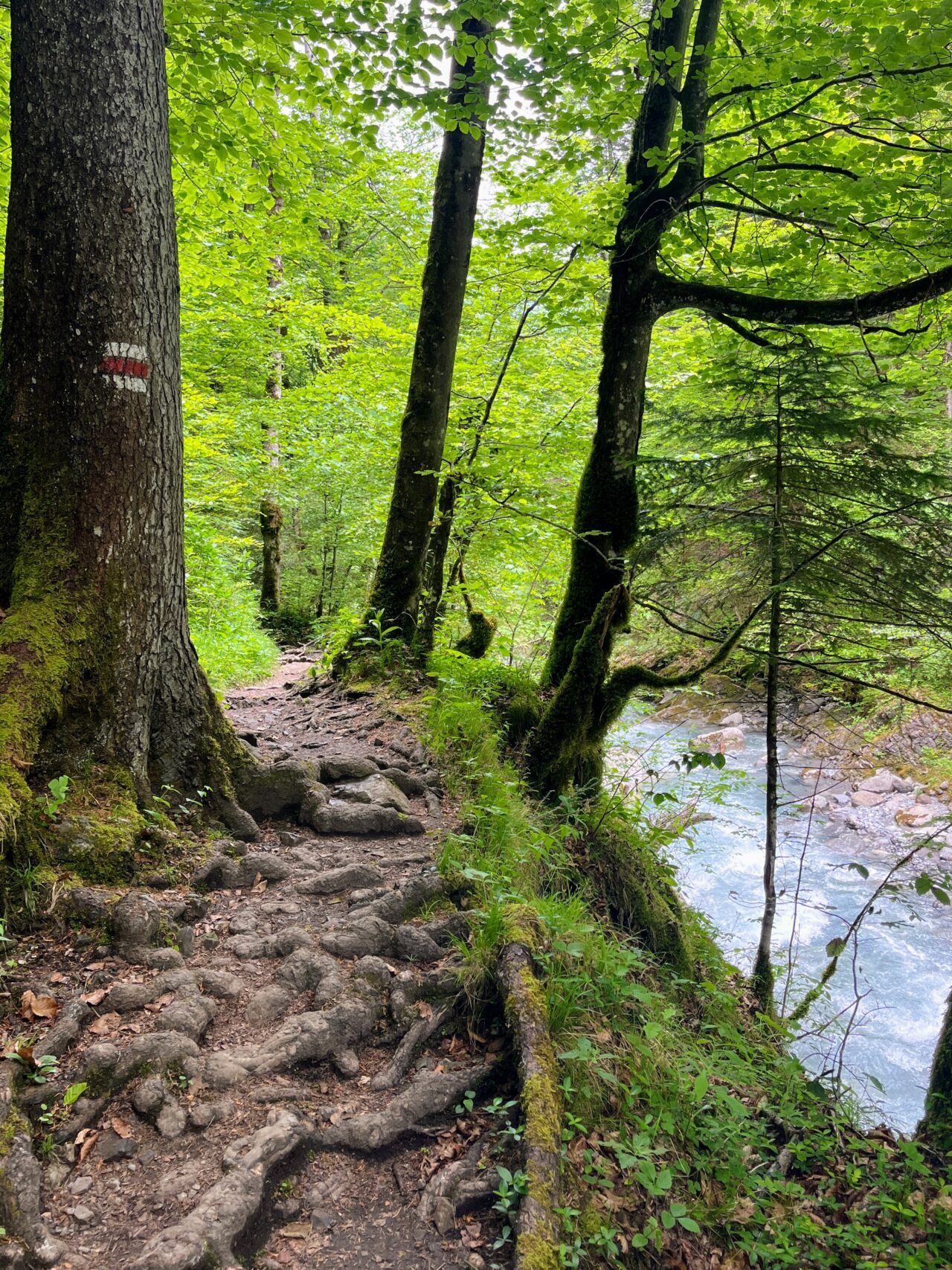 wanderung_bürser_schlucht_