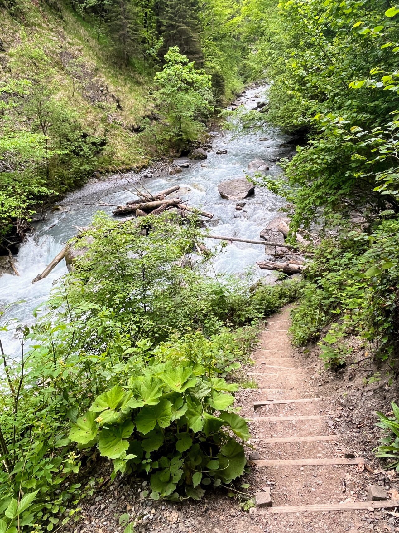 wanderung_bürser_schlucht_