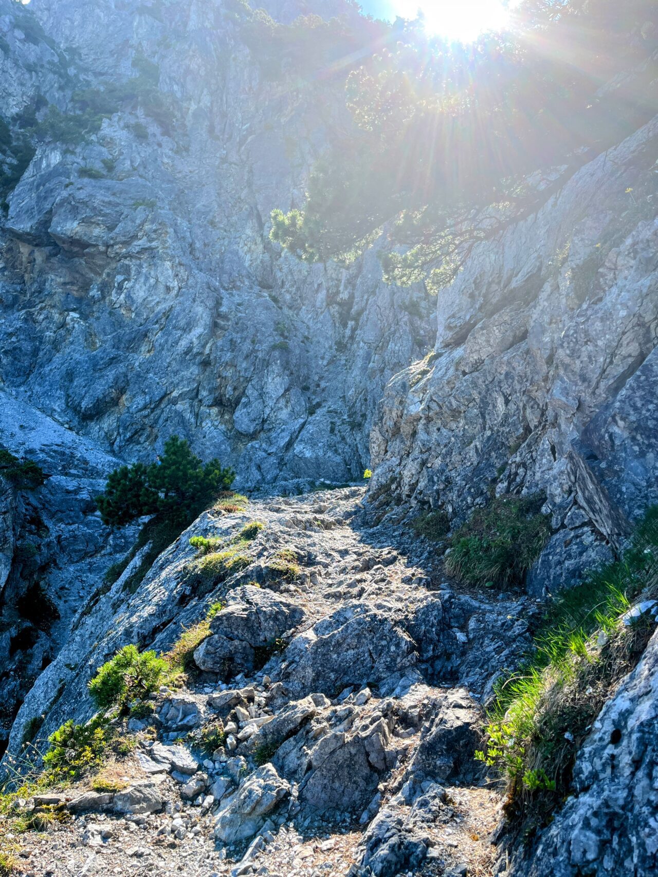 wanderung_fürstensteig_drei_schwestern_