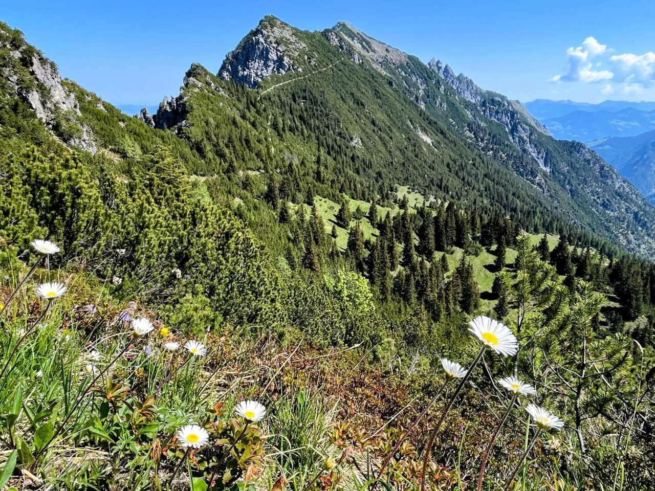 wanderung_fürstensteig_drei_schwestern_