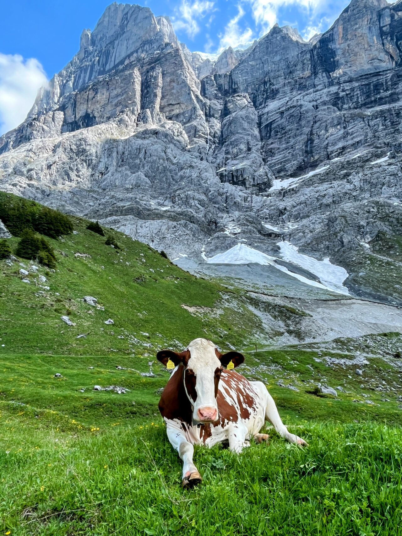 wanderung_via_alpina_meiringen_grindelwald_