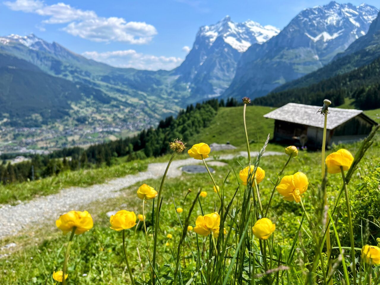 wanderung_via_alpina_grindelwald_lauterbrunnen_