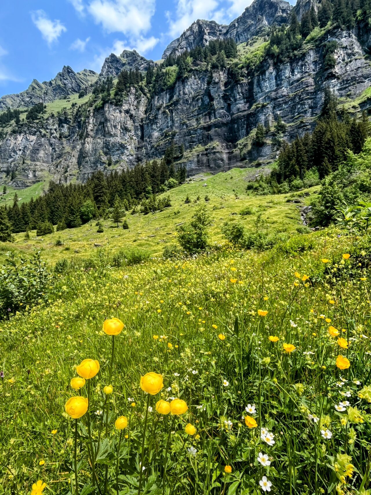 wanderung_via_alpina_grindelwald_lauterbrunnen_