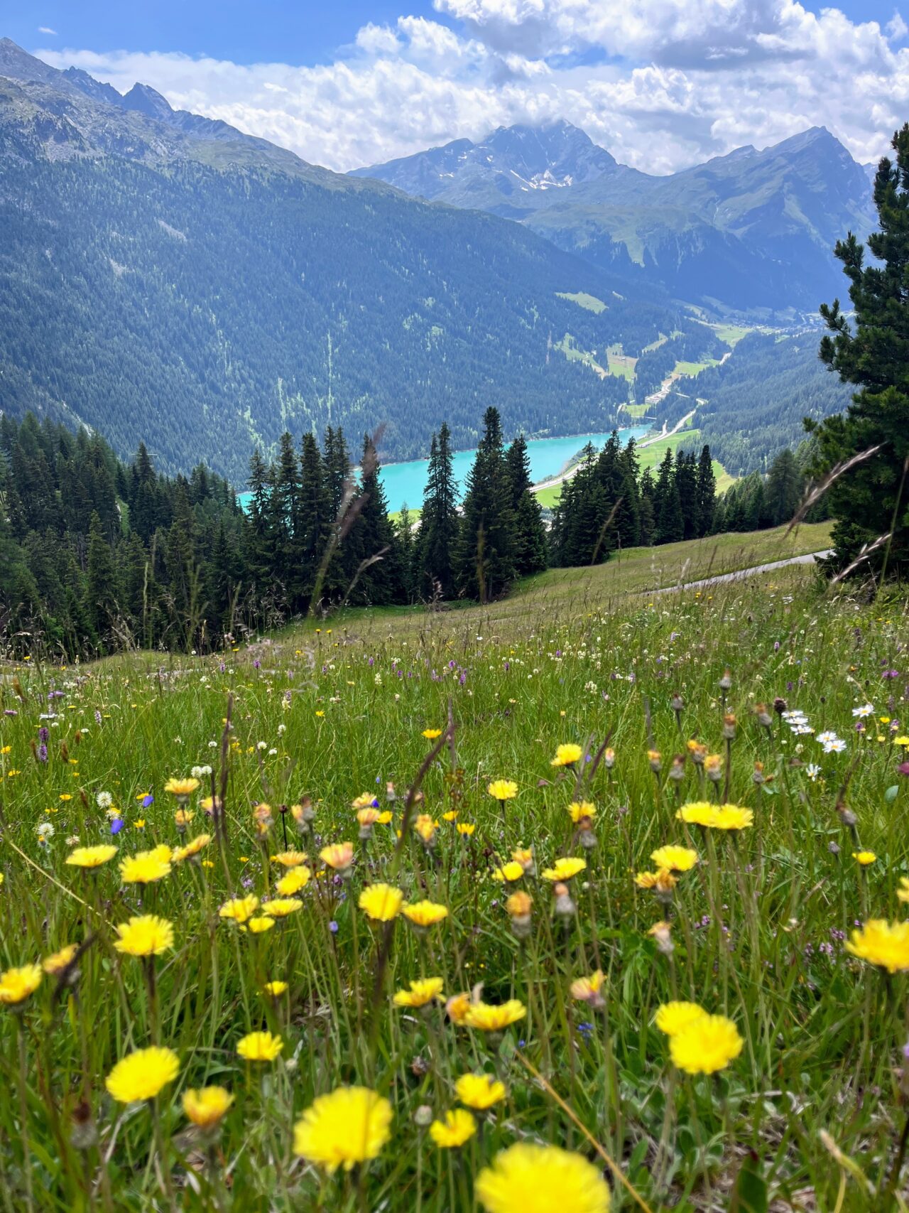 wanderung_cufercalhütte_