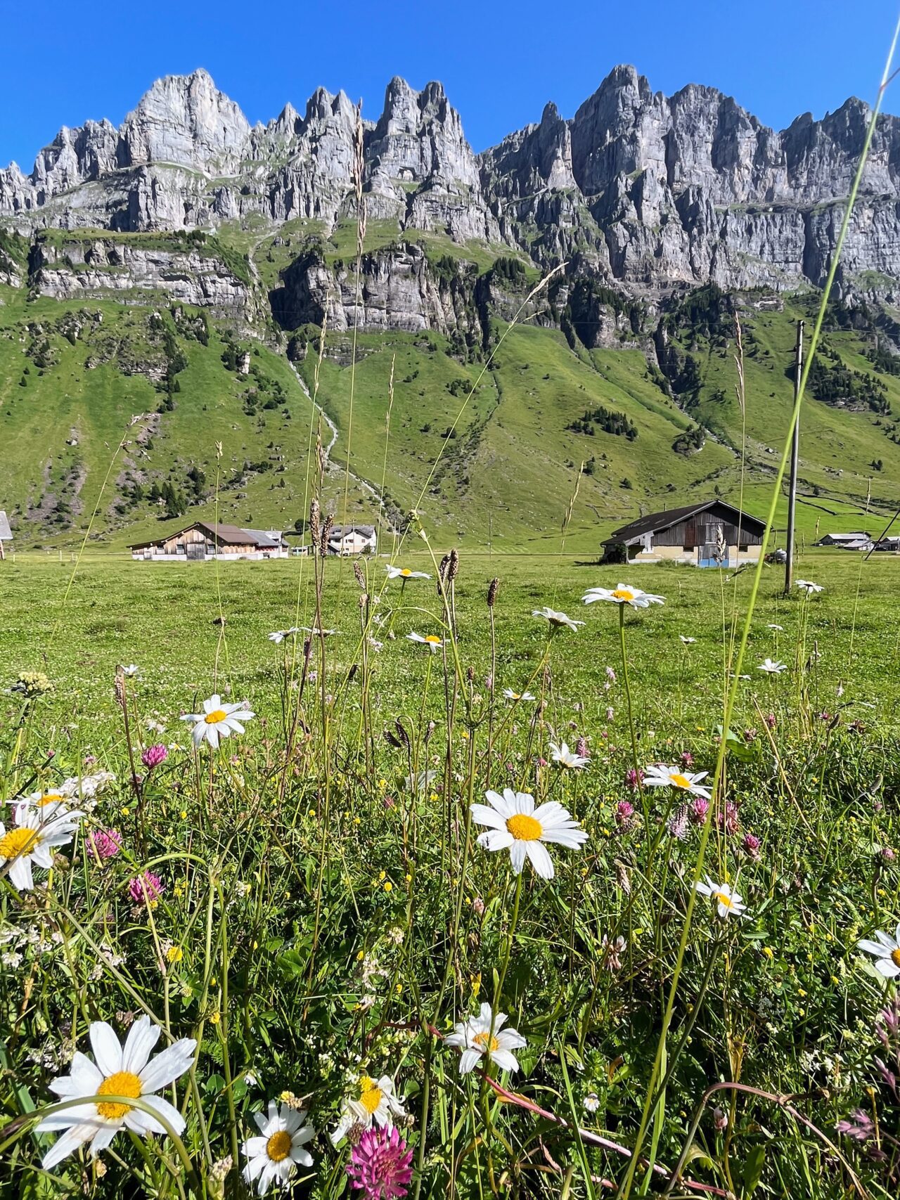 Wanderung_Via_alpina_urnerboden_linthal_