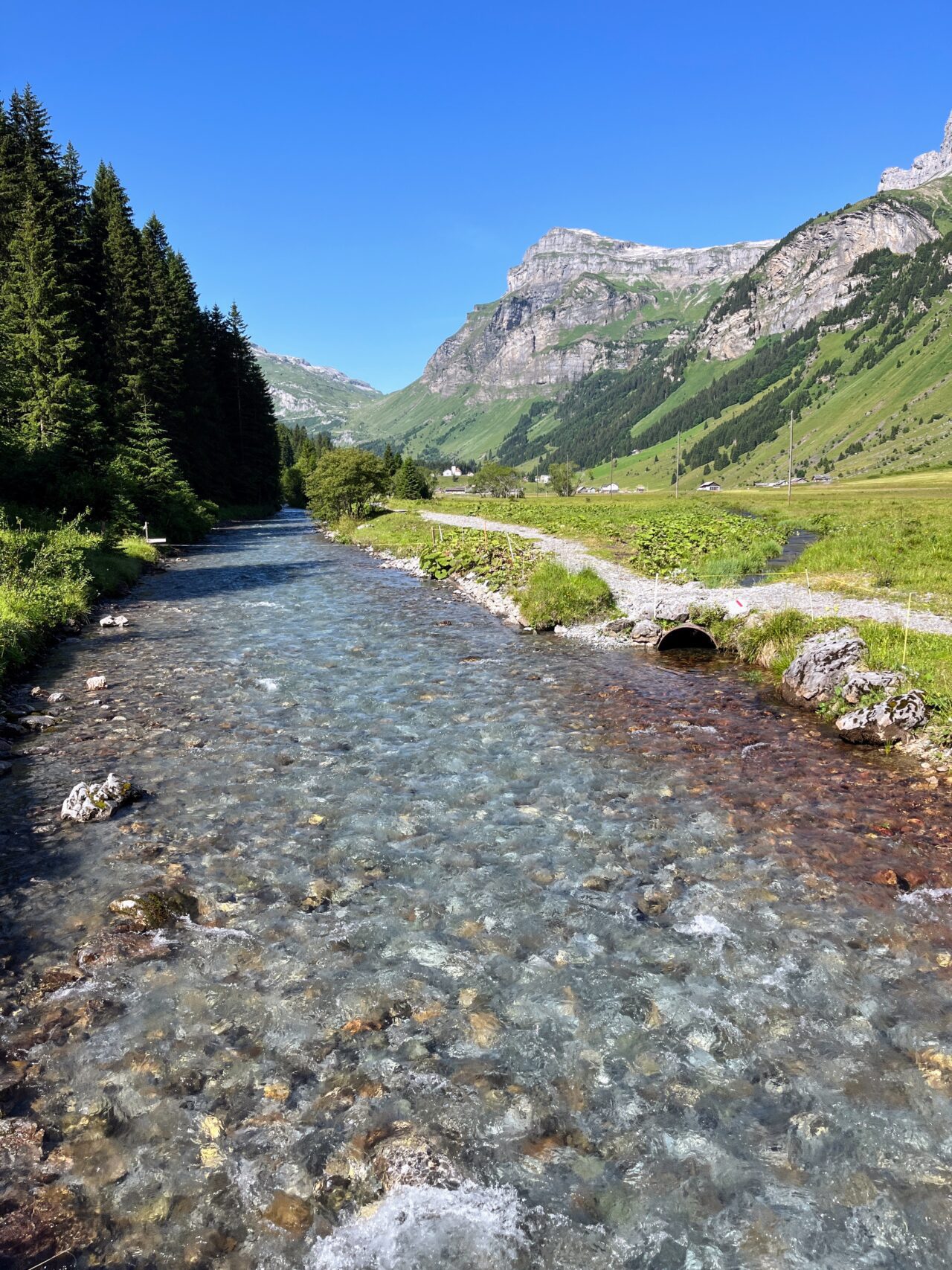 Wanderung_Via_alpina_urnerboden_linthal_