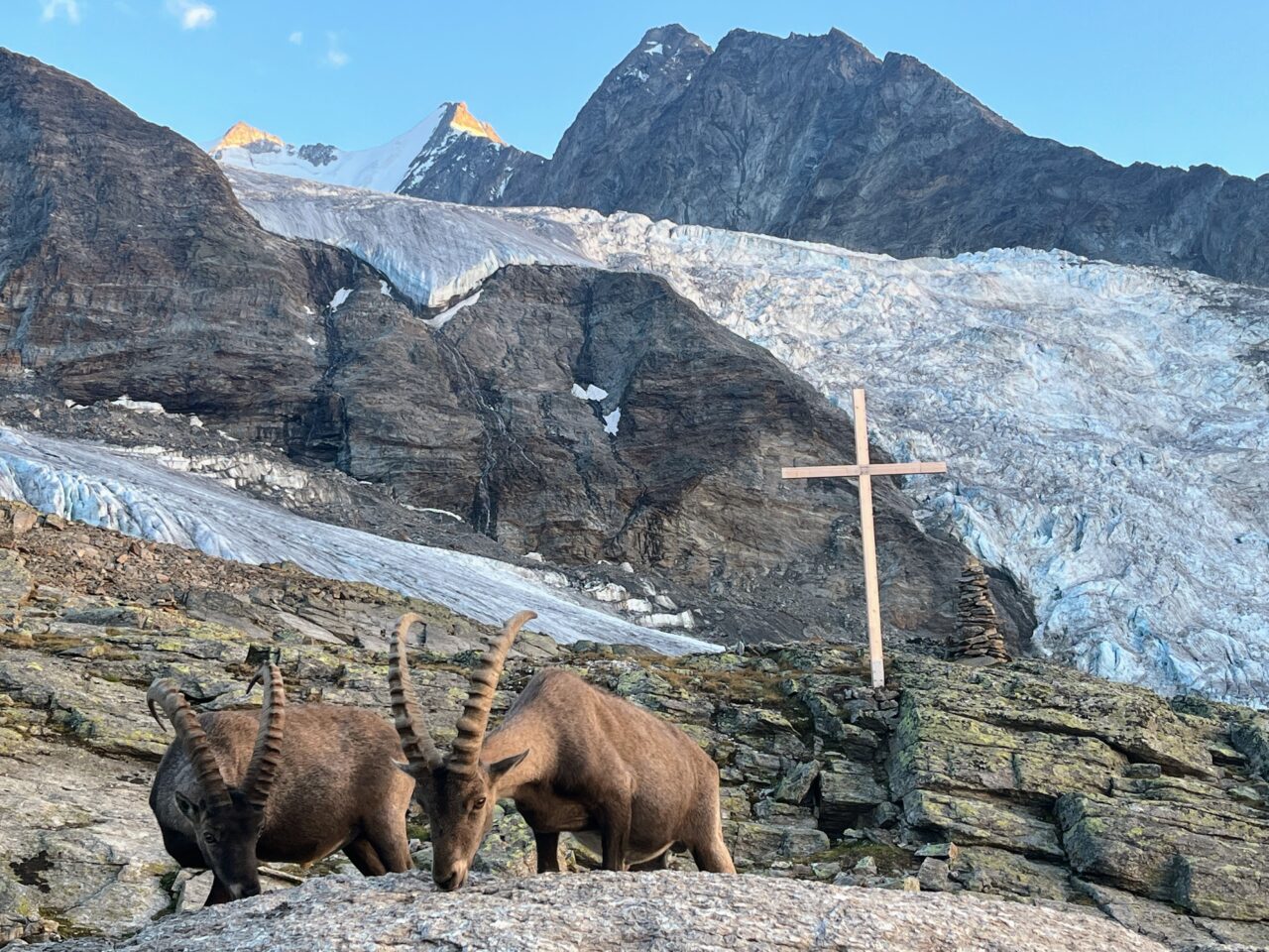 wanderung_bordierhütte_