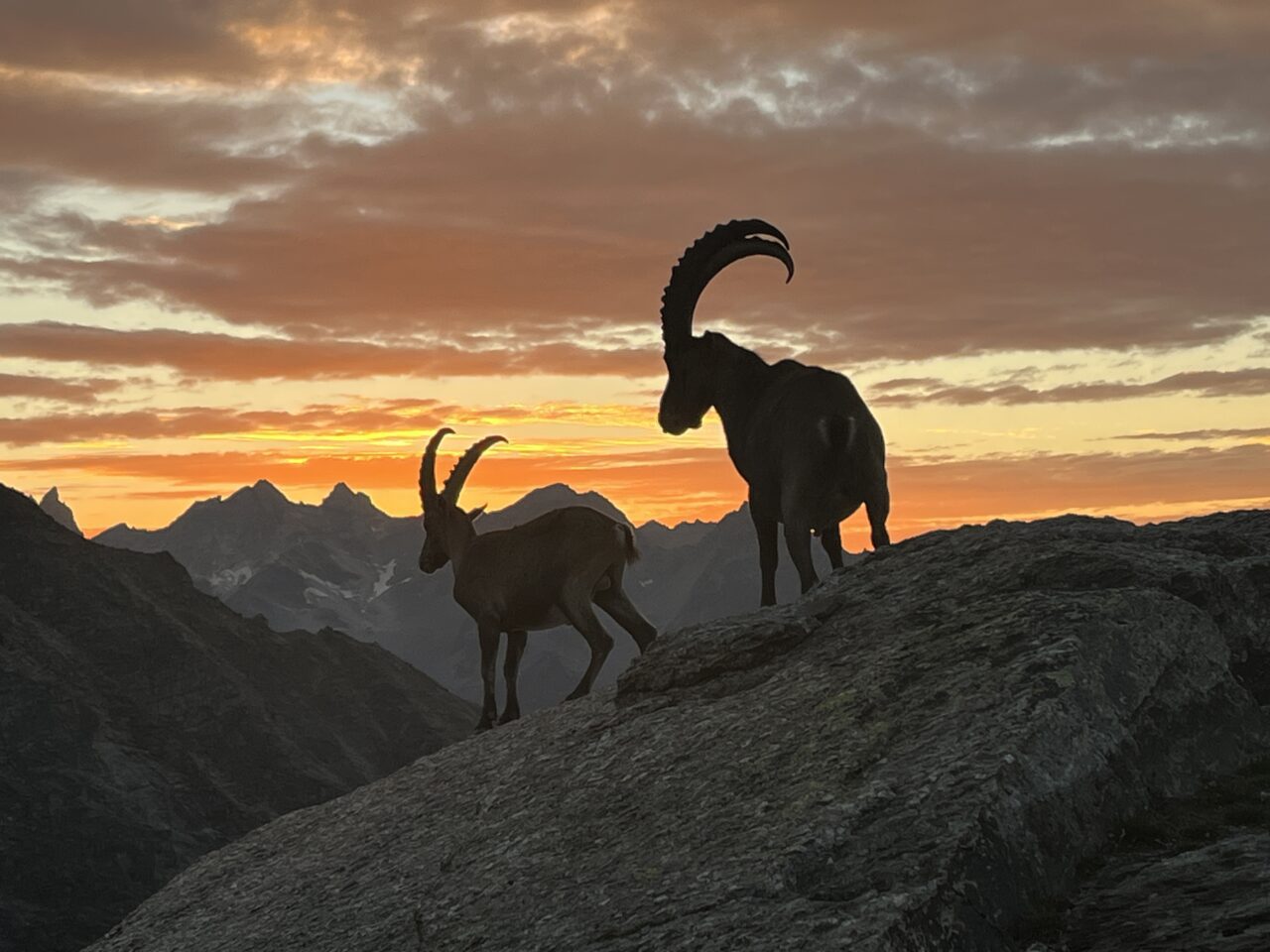 wanderung_bordierhütte_