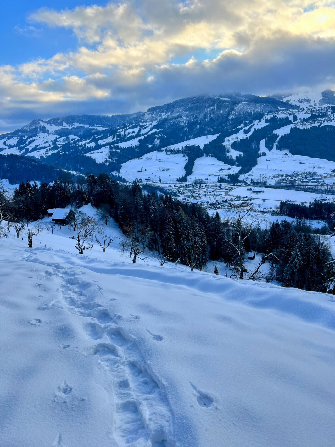 schneeschuhwanderung_wildspitz_