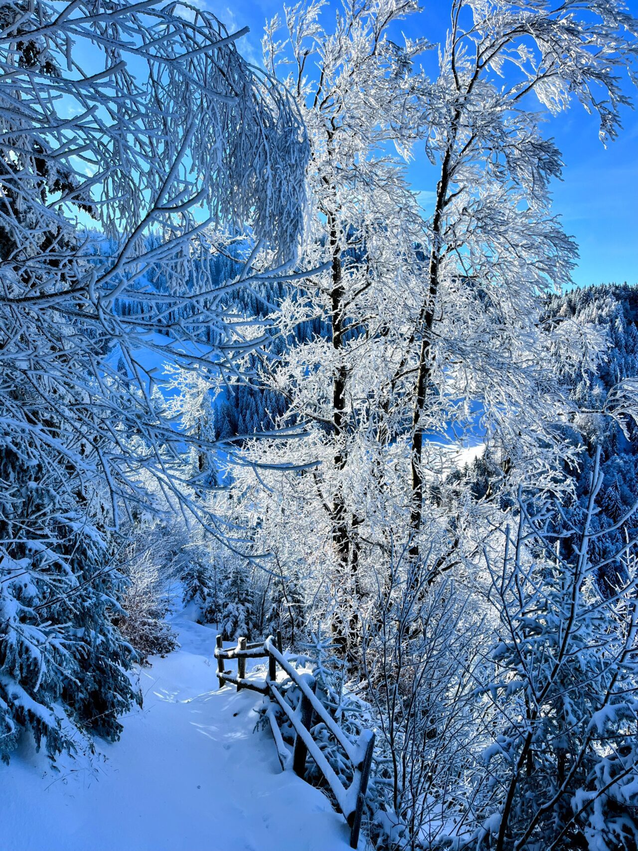 schneeschuhwanderung_wildspitz_