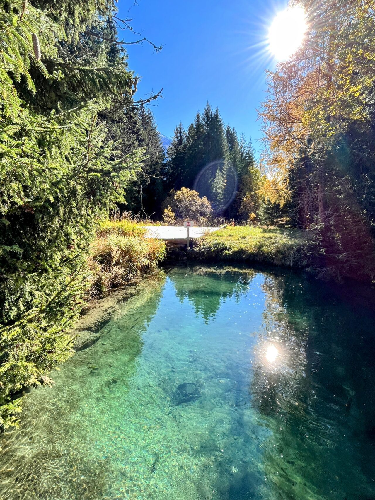 wanderung-via-sett-lenzerheide-churwalden-