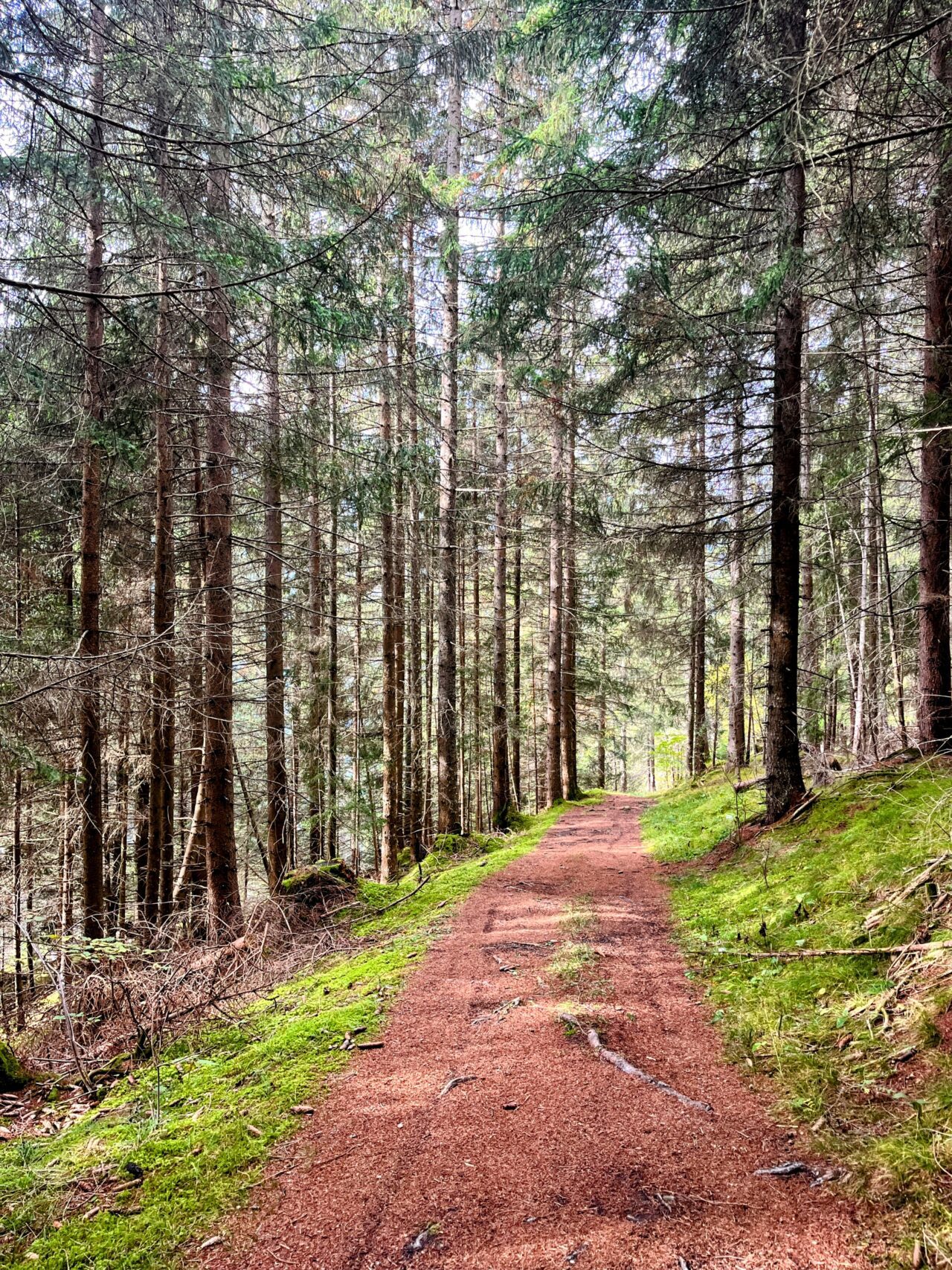 wanderung_via_sett_lantsch_tiefencastel_