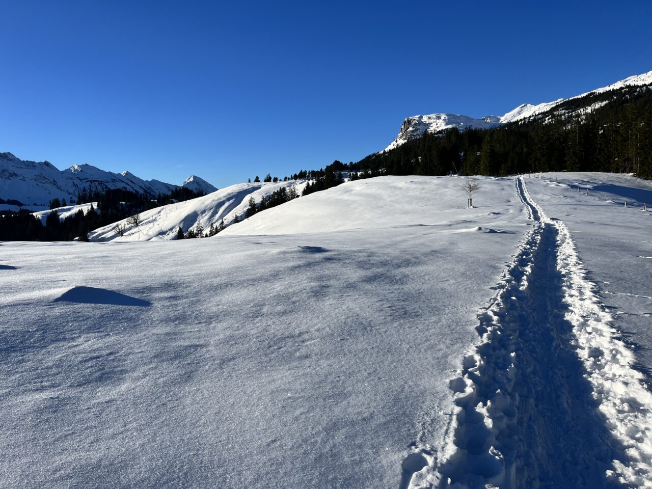 schneeschuhtour_chlushuette_