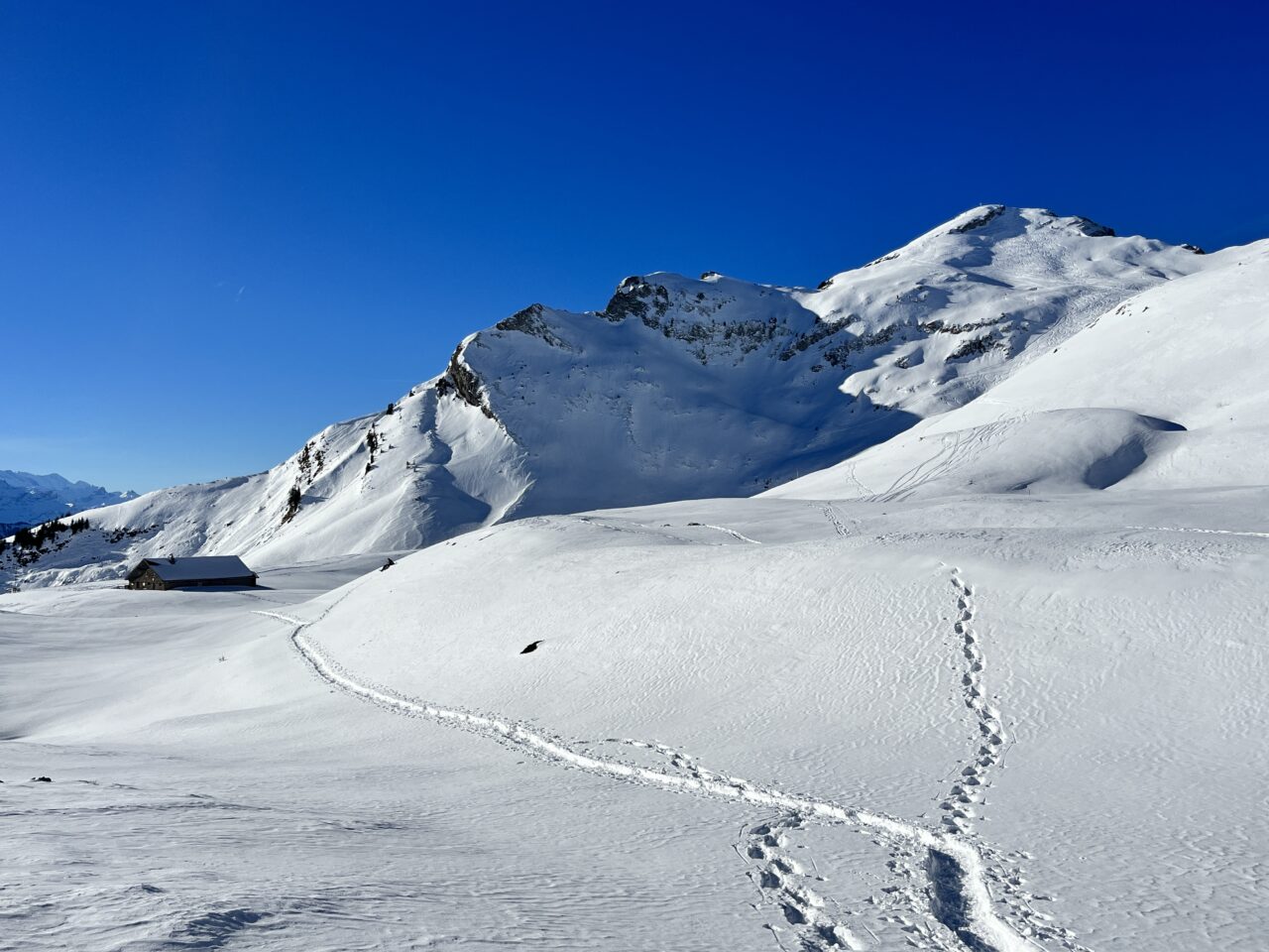 schneeschuhtour_chlushuette_