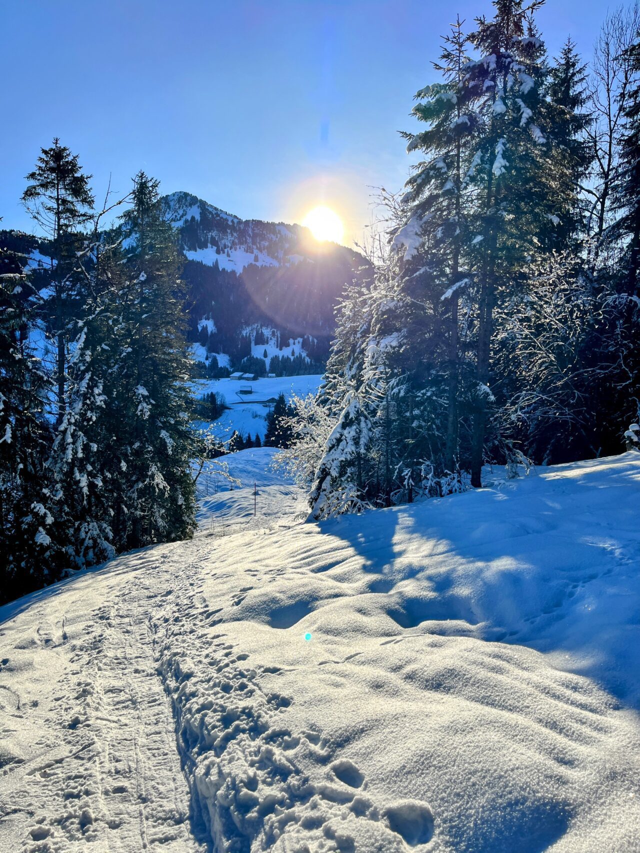 schneeschuhwanderung_oberiberg_furggelenstock_