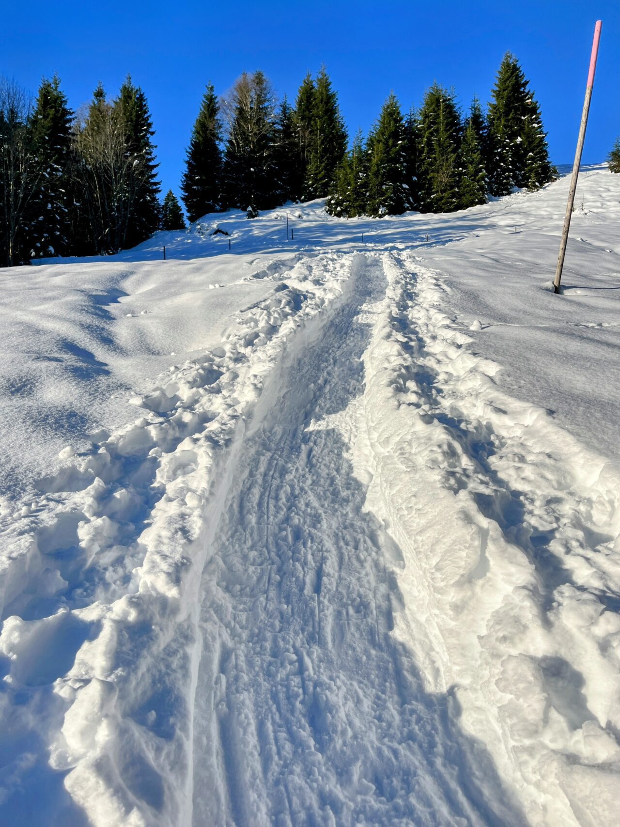 schneeschuhwanderung_oberiberg_furggelenstock_