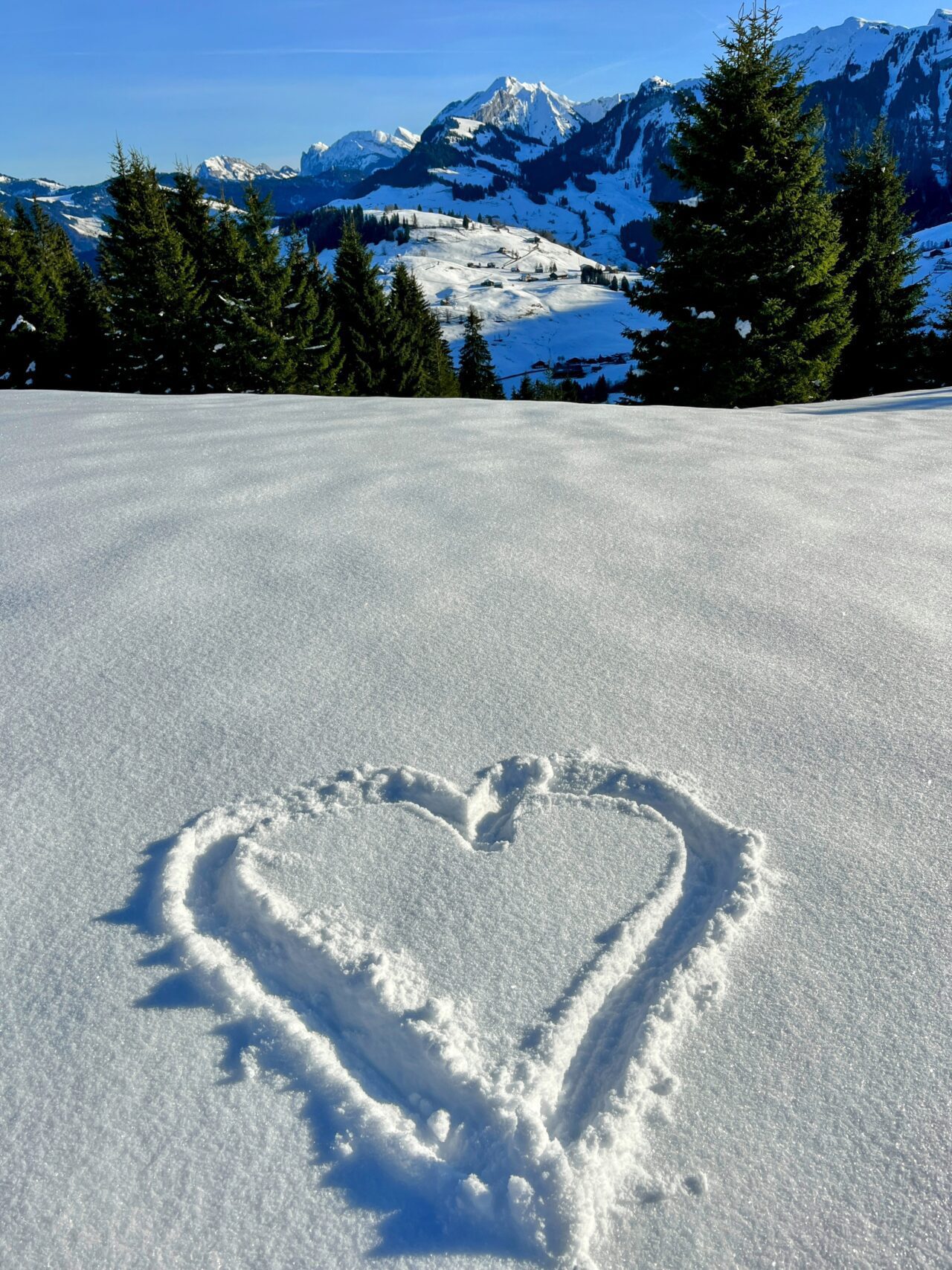 schneeschuhwanderung_oberiberg_furggelenstock_