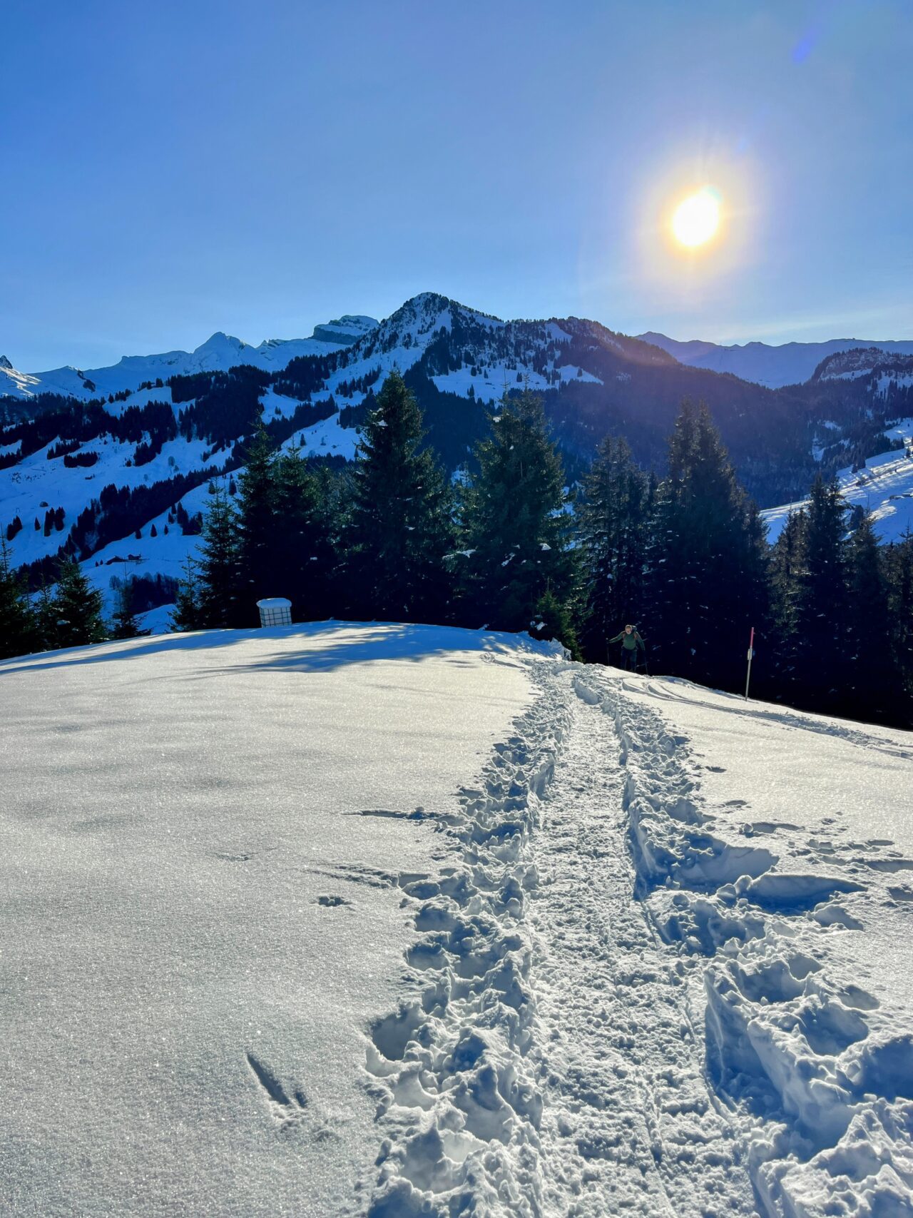 schneeschuhwanderung_oberiberg_furggelenstock_