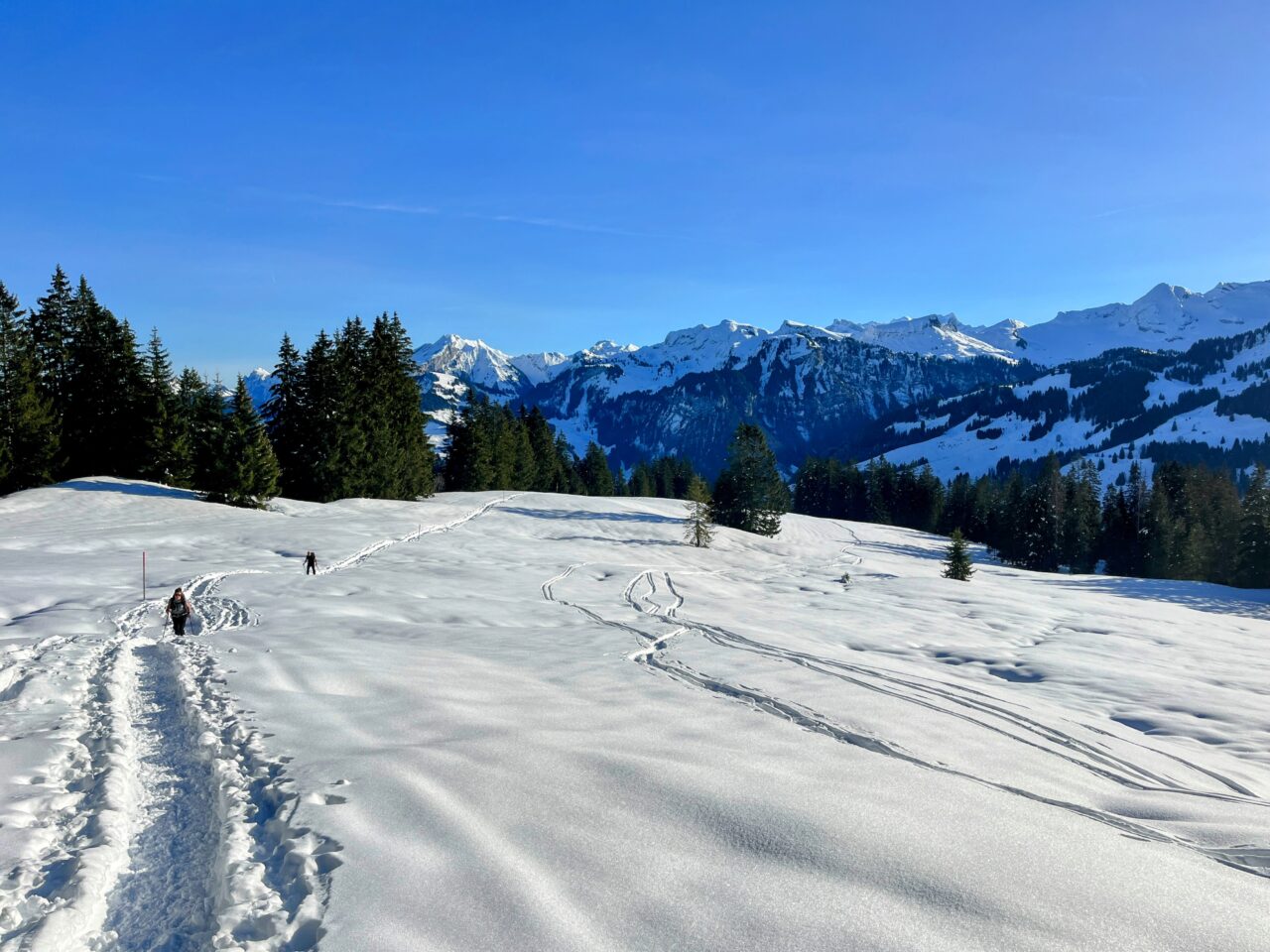 schneeschuhwanderung_oberiberg_furggelenstock_