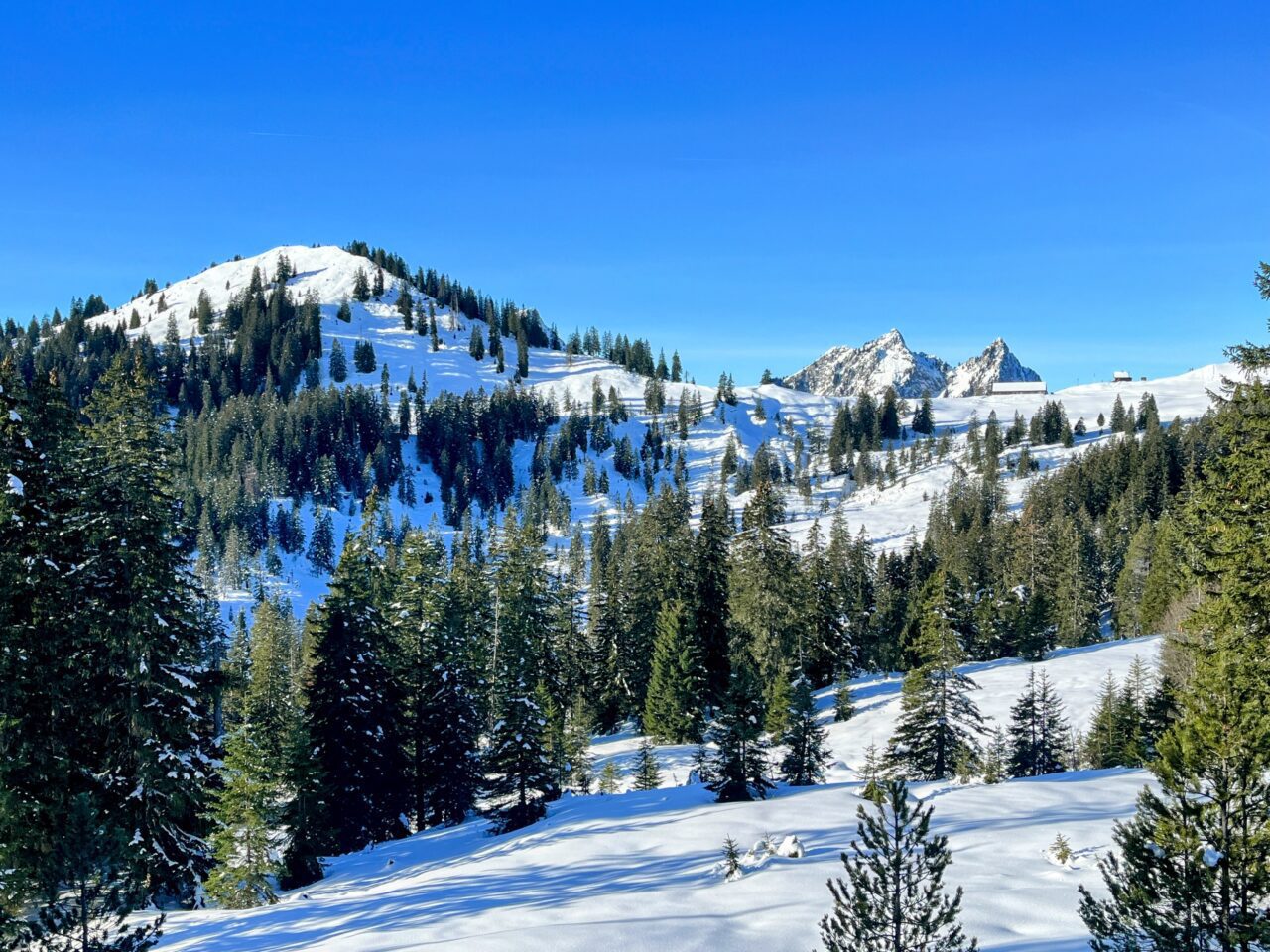 schneeschuhwanderung_oberiberg_furggelenstock_