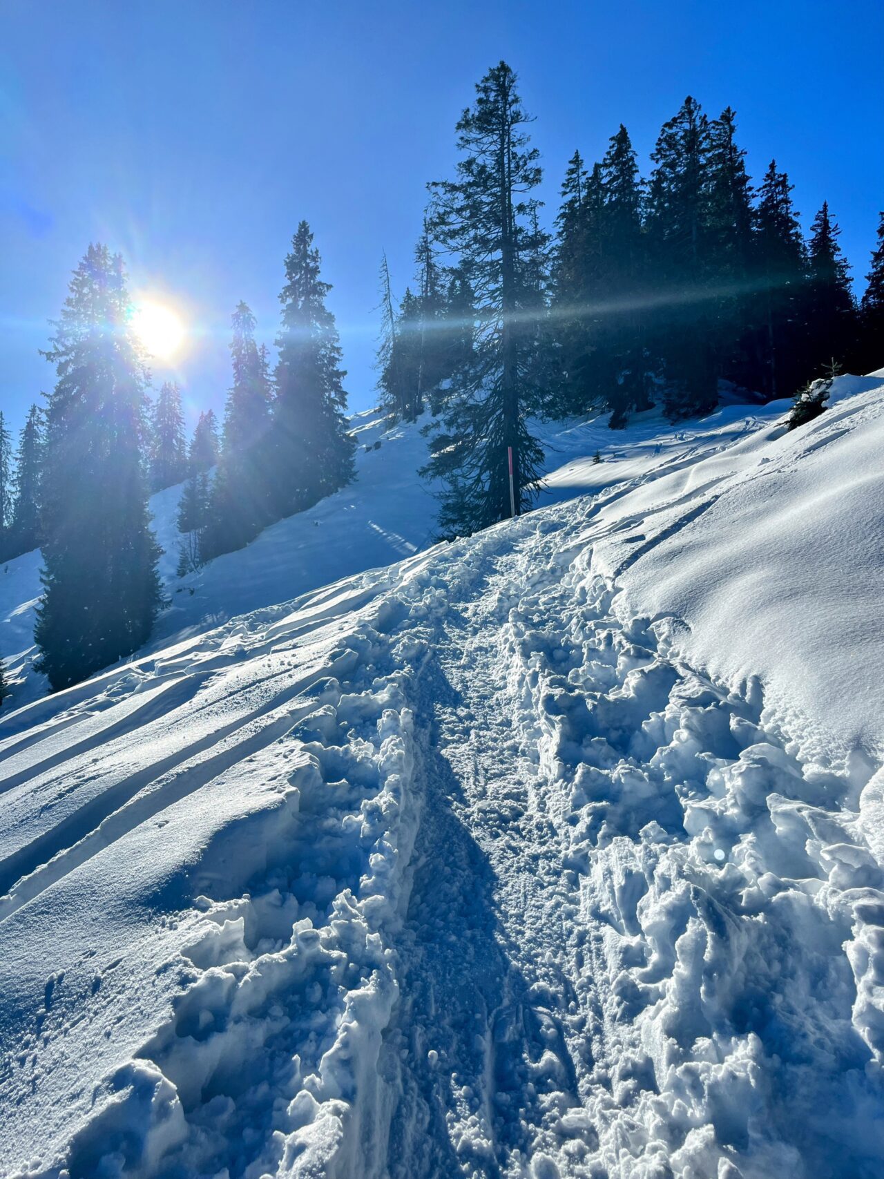 schneeschuhwanderung_oberiberg_furggelenstock_