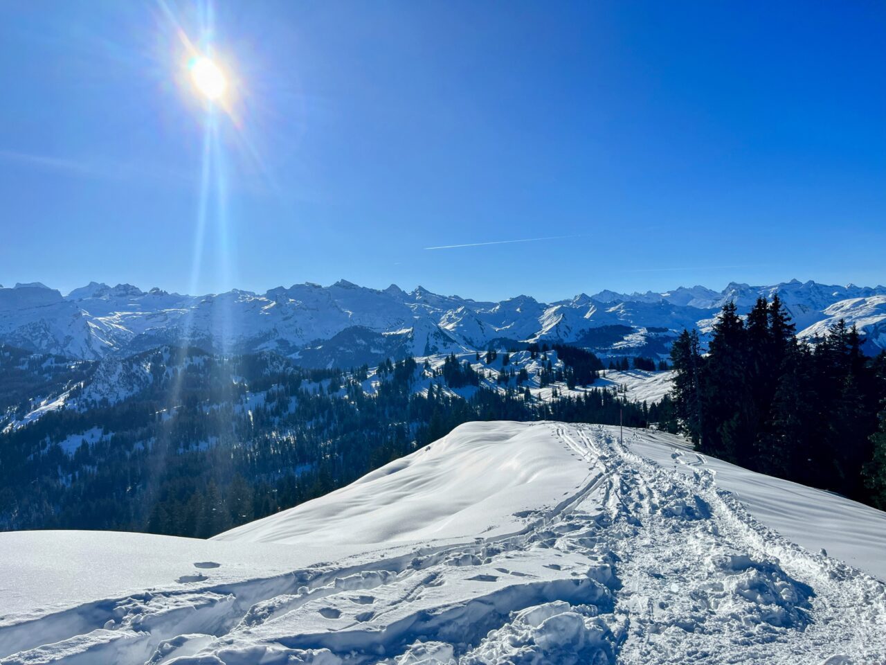 schneeschuhwanderung_oberiberg_furggelenstock_