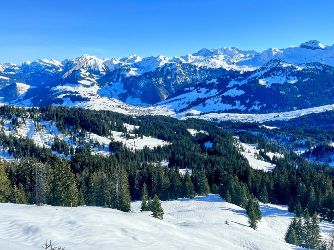 schneeschuhwanderung_oberiberg_furggelenstock_