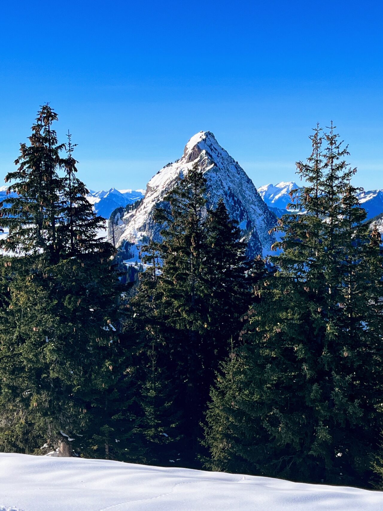 schneeschuhwanderung_oberiberg_furggelenstock_