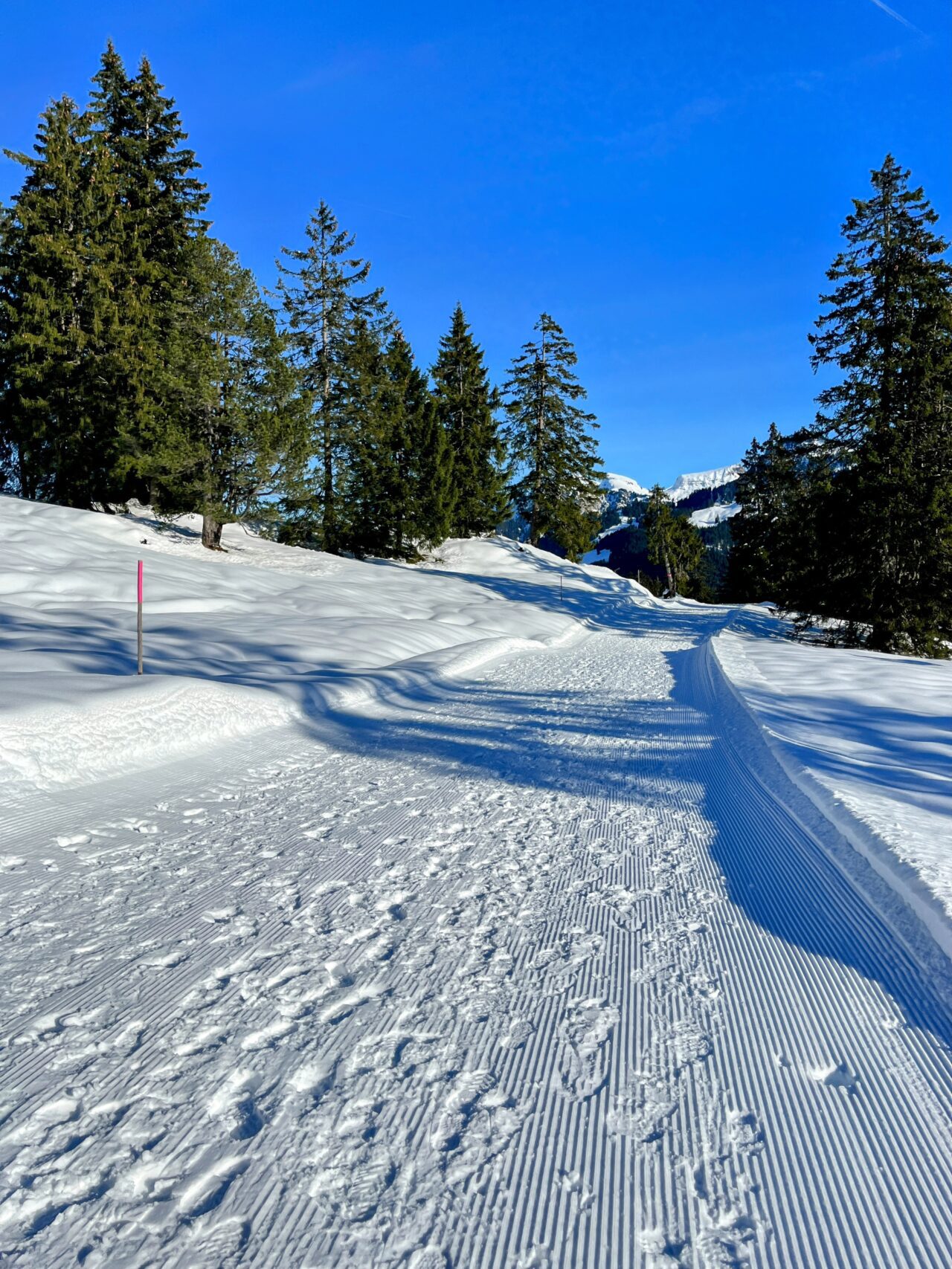 schneeschuhwanderung_oberiberg_furggelenstock_