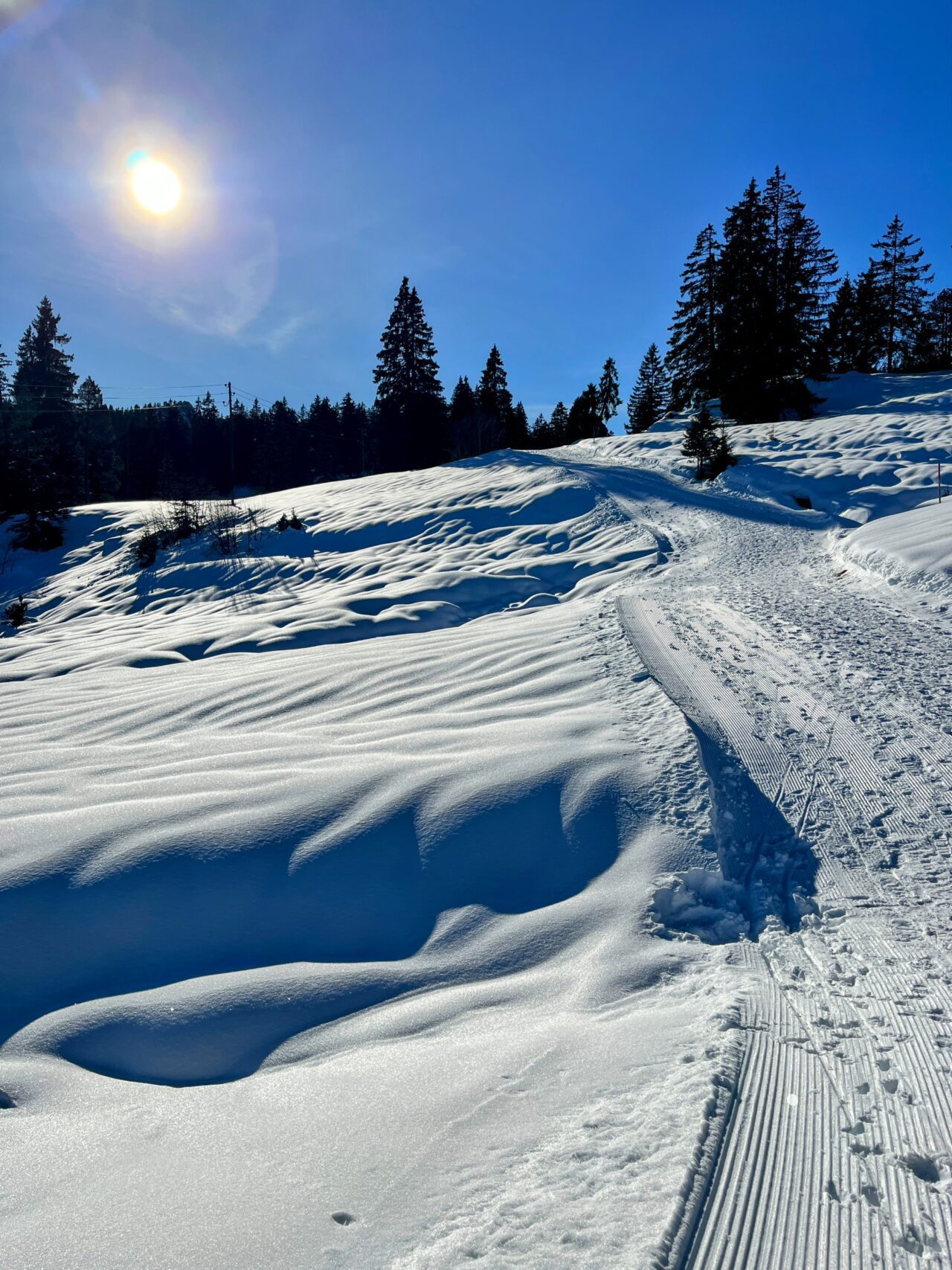 schneeschuhwanderung_oberiberg_furggelenstock_