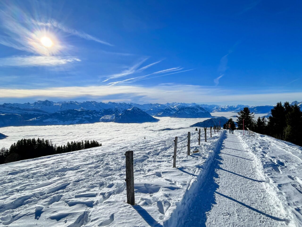 winterwandern_rigi_