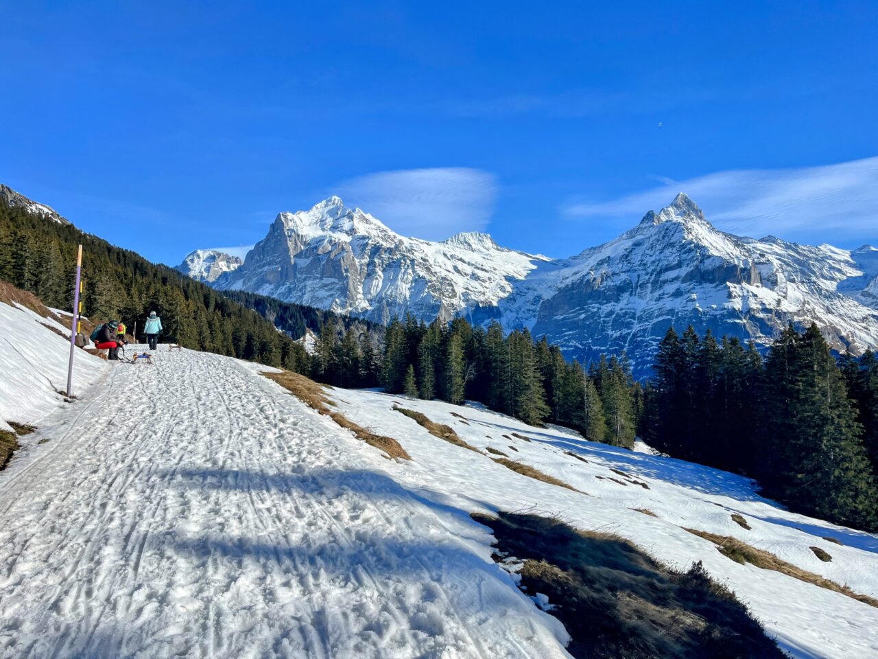 winterwanderung_first_faulhorn_schlitteln_grindelwald_