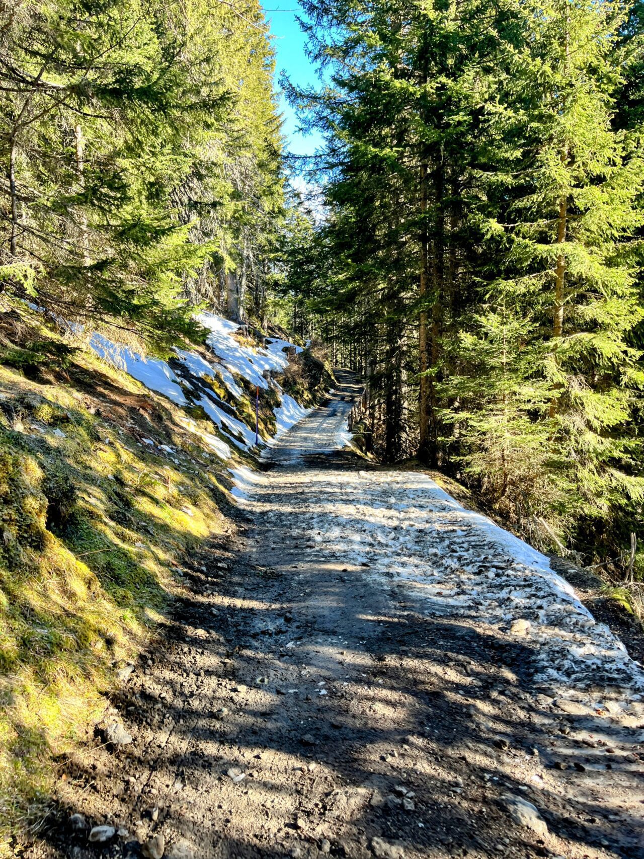 winterwanderung_first_faulhorn_schlitteln_grindelwald_