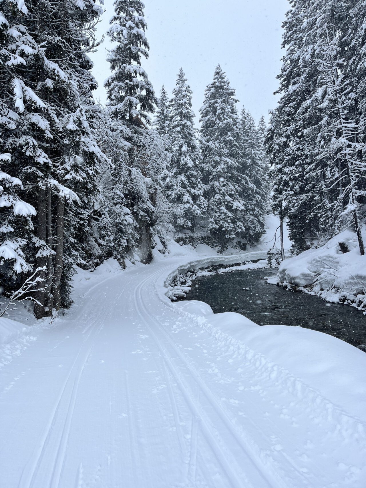 winterwanderung_lech_zug_vorderes_aelpele_