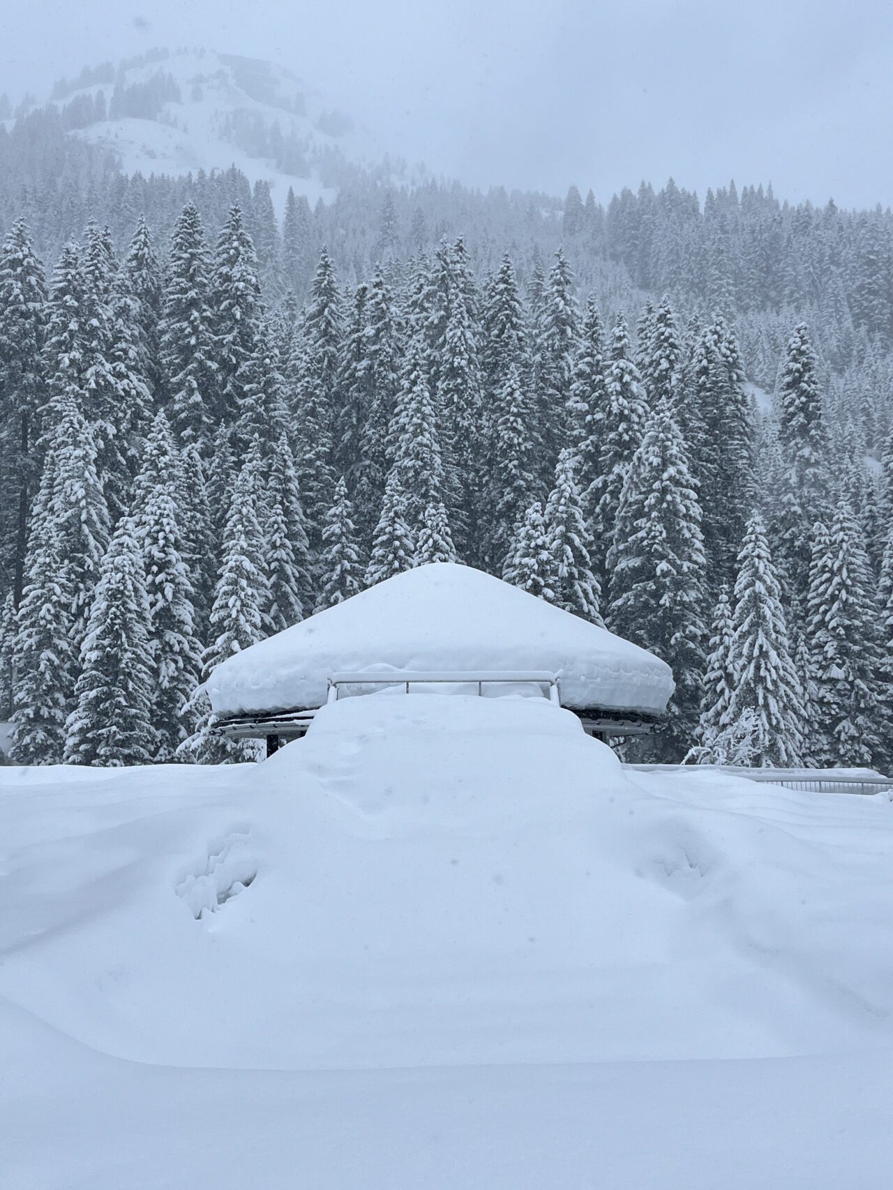 winterwanderung_lech_zug_vorderes_aelpele_