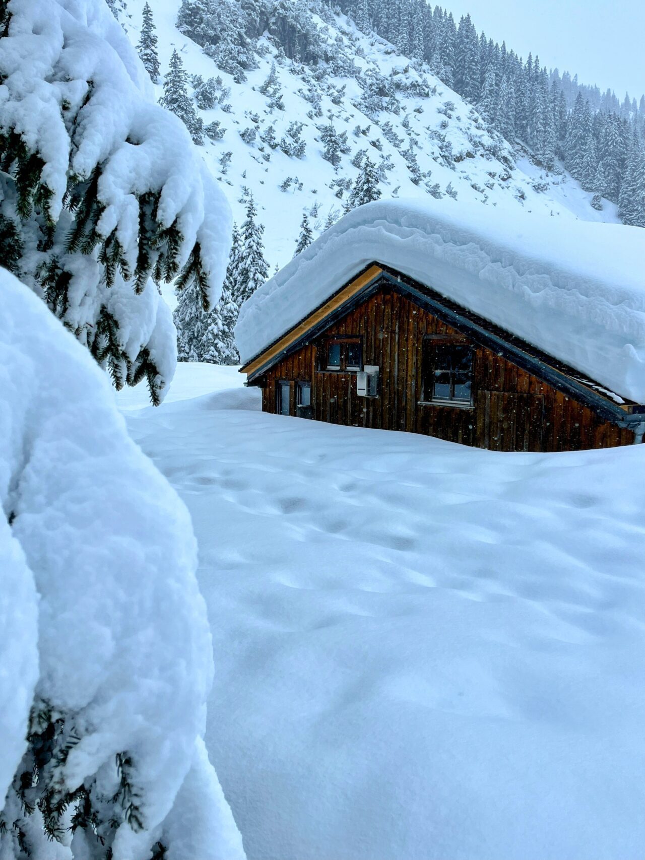 winterwanderung_lech_zug_vorderes_aelpele_