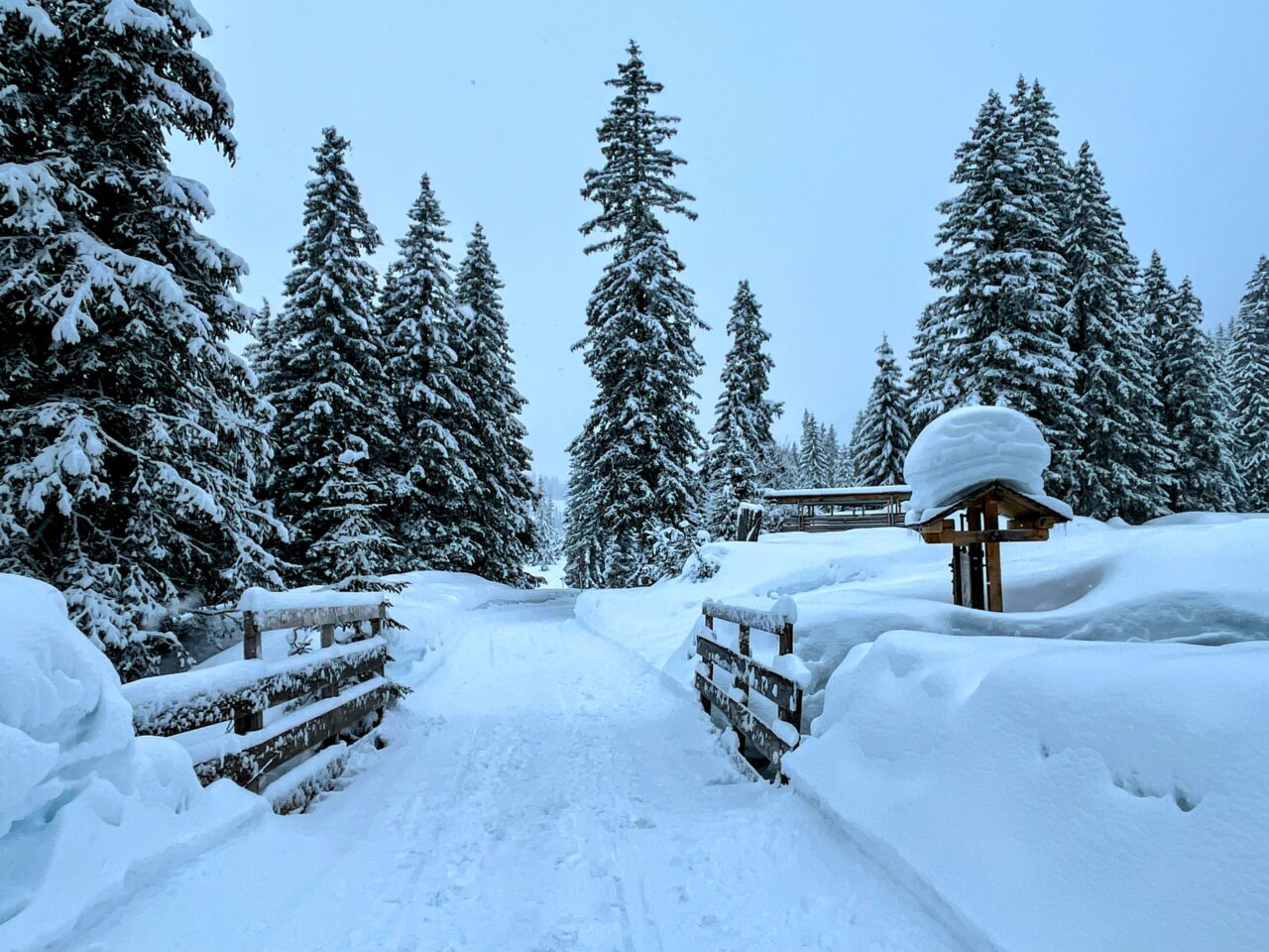 winterwanderung_lech_zug_vorderes_aelpele_