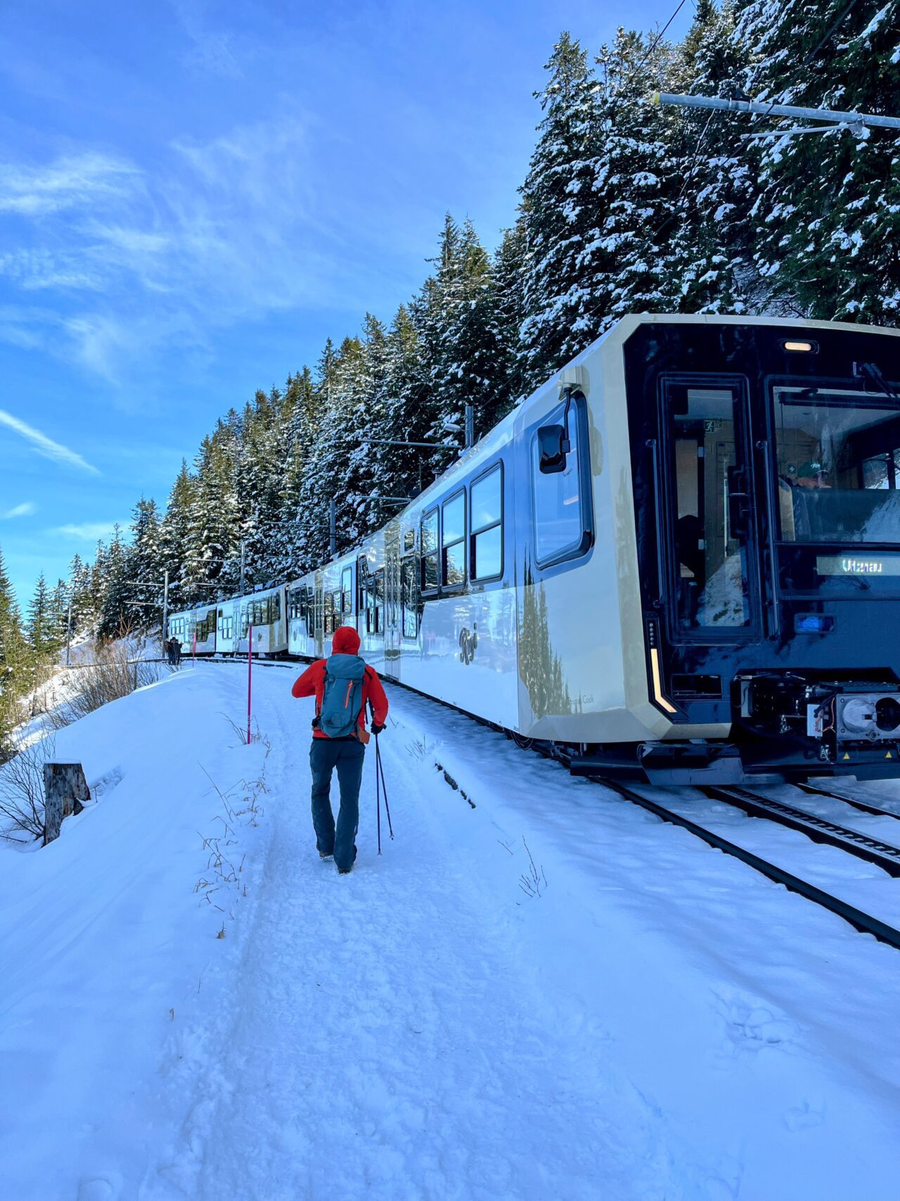 wanderung_greppen_rigi_