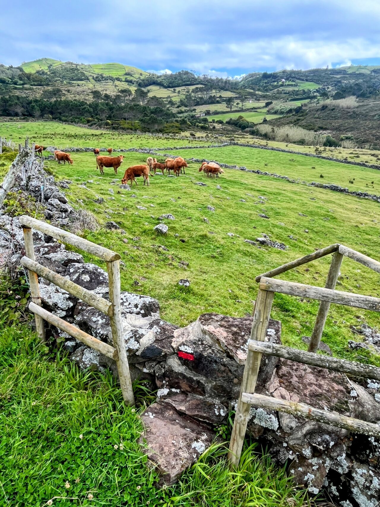 wanderung_ilha_a_pe_tag_2_malbusca_lapa_