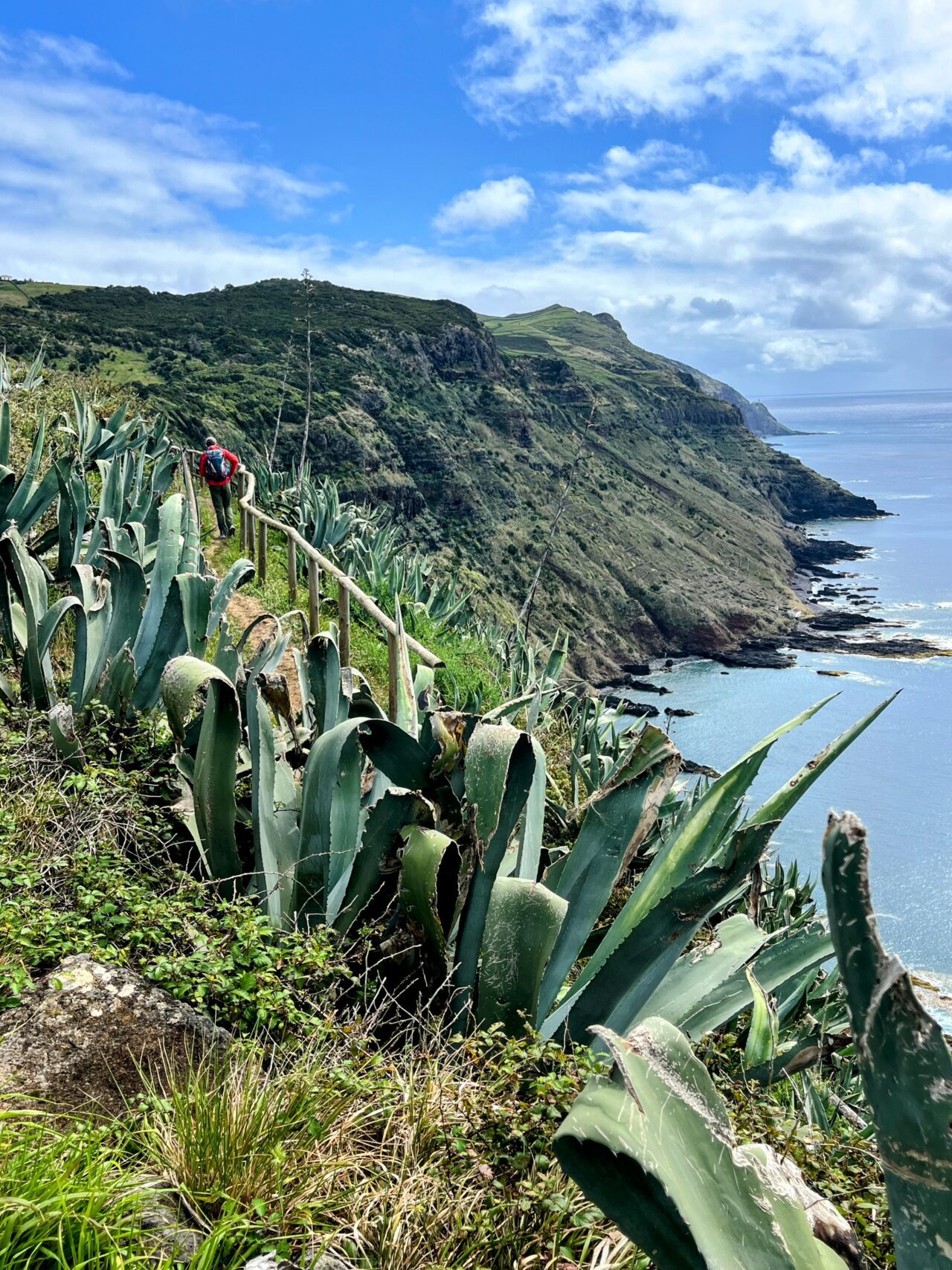 wanderung_ilha_a_pe_tag_2_malbusca_lapa_