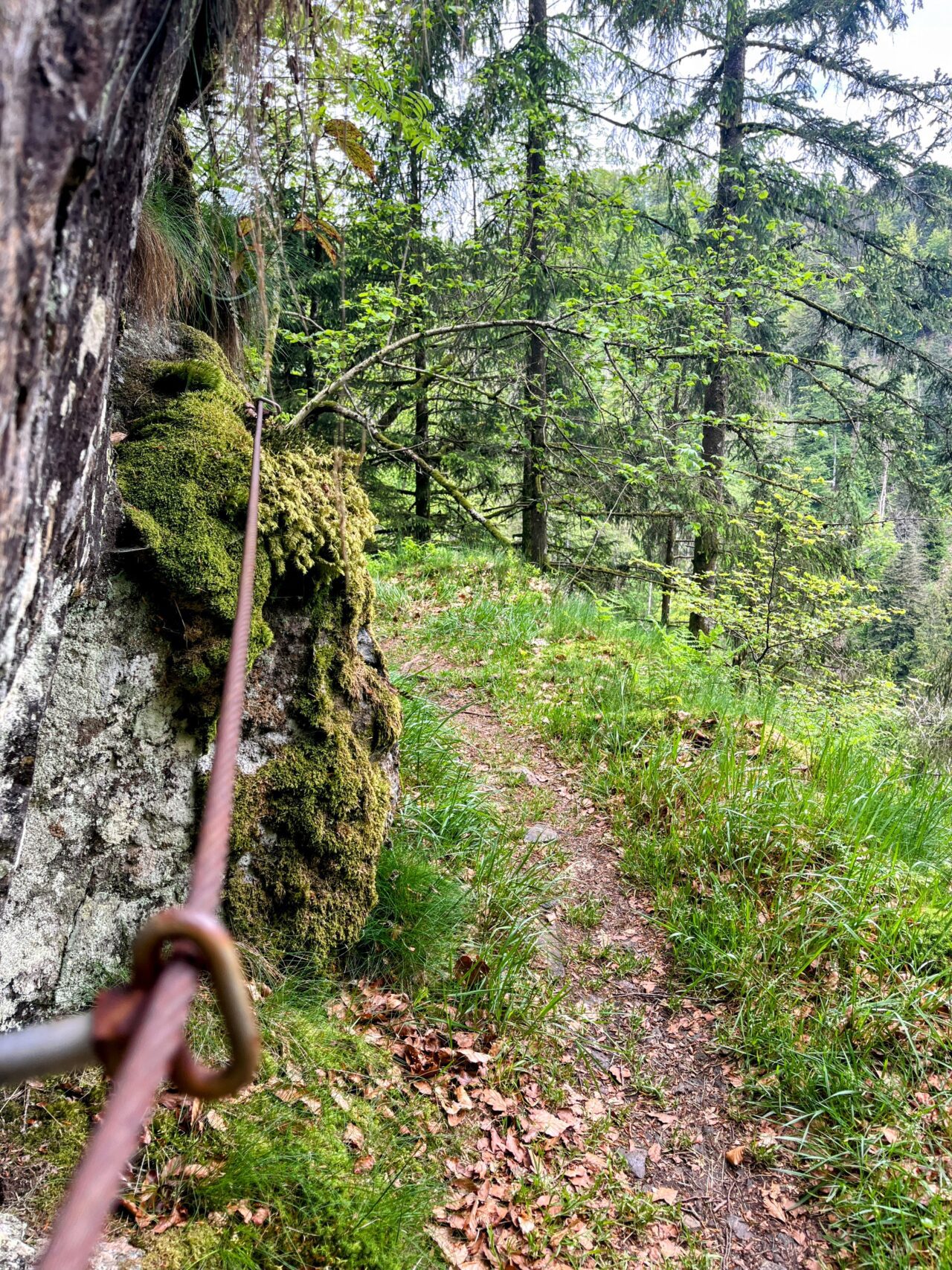 wanderung_schluchtensteig_etappe_5_todtmoos_wehr_
